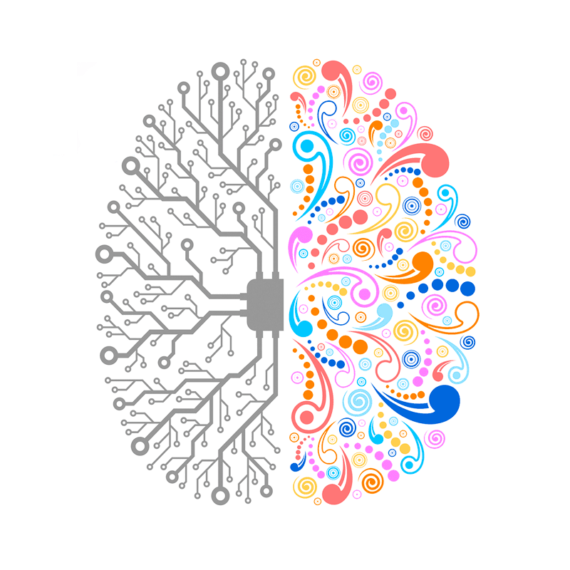 cerebro artistico y lógico