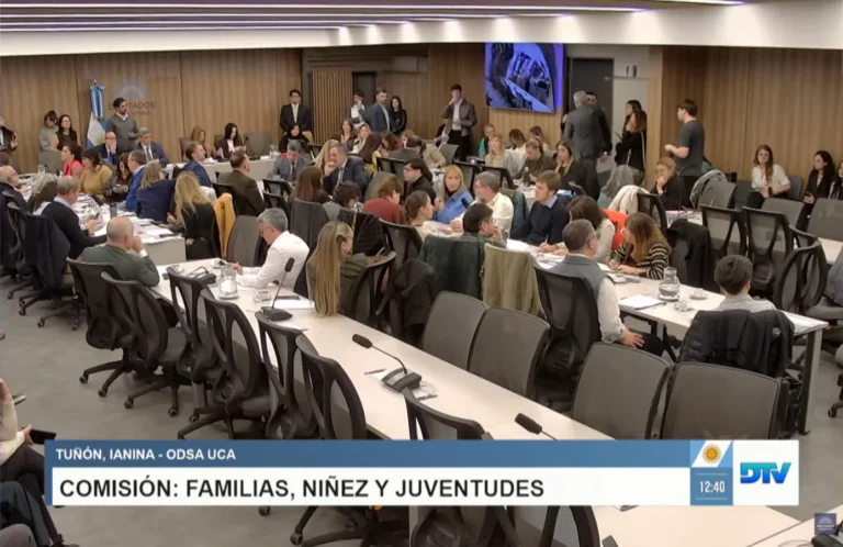 Participación del Forum Infancias en Diputados acerca de las pantallas en la infancia